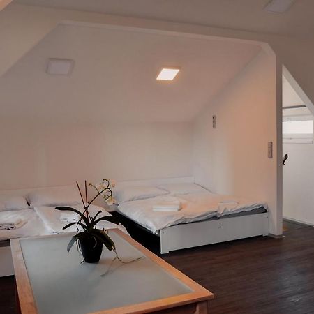 Apartmany Centrum Нови-Бор Экстерьер фото