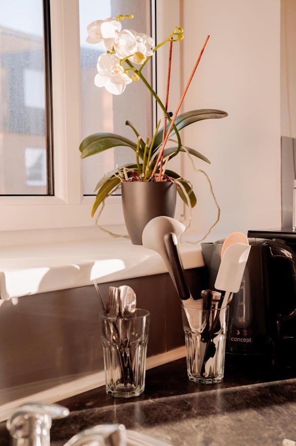 Apartmany Centrum Нови-Бор Экстерьер фото